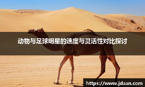 动物与足球明星的速度与灵活性对比探讨